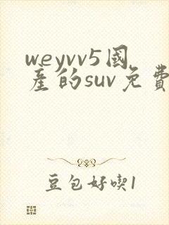 weyvv5国产的suv免费封面
