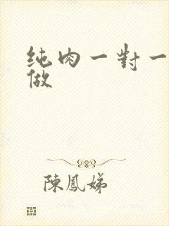 纯肉一对一到处做