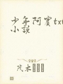 少年阿宾txt小说