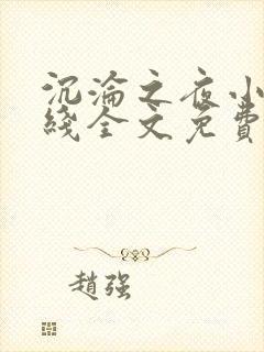 沉沦之夜小说在线全文免费阅读封面