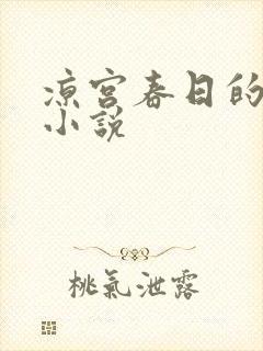 凉宫春日的忧郁小说