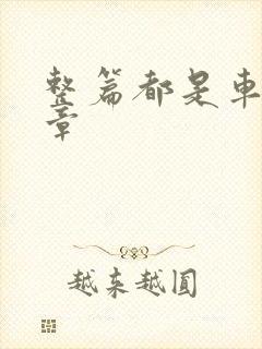 整篇都是车的文章