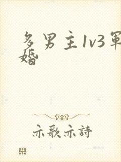 多男主1v3军婚封面