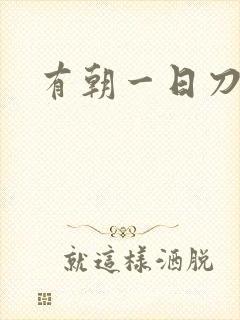 有朝一日刀在手封面