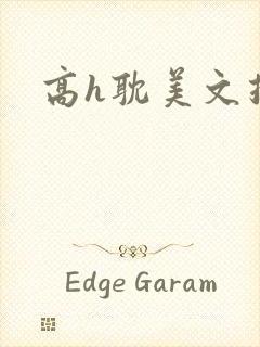 高h耽美文推荐封面