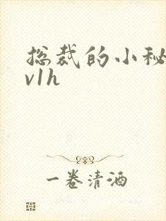 总裁的小秘书1v1h