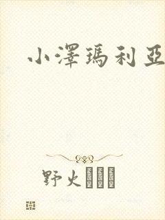 小泽玛利亚作品