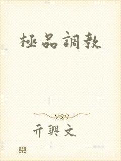 极品调教封面