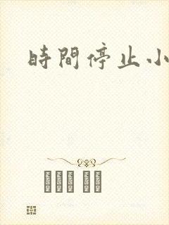 时间停止小说