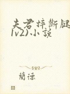 夫君摔断腿后(1v2)小说