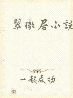 翠微居小说合集