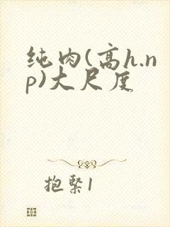 纯肉(高h.np)大尺度