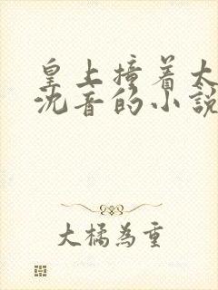 皇上撞着太子妃沈音的小说叫什么