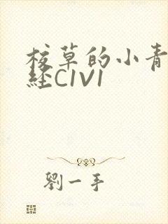 校草的小青梅不经C1V1封面