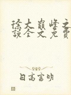 徐大巅峰之路小说全文免费阅读