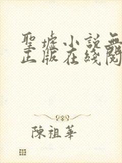 圣墟小说无删减正版在线阅读封面