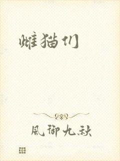 雌猫们