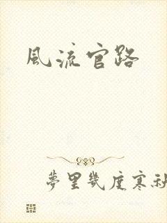 风流官路