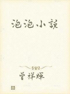 泡泡小说