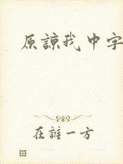 原谅我中字封面