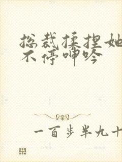 总裁揉捏她两乳不停呻吟