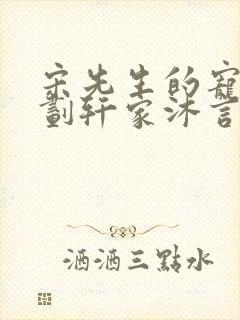 宋先生的宠妻计划轩家沐言