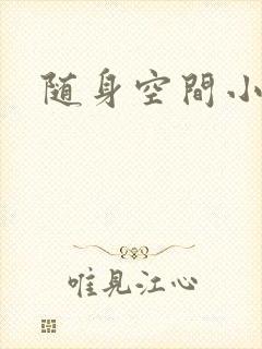 随身空间小说封面