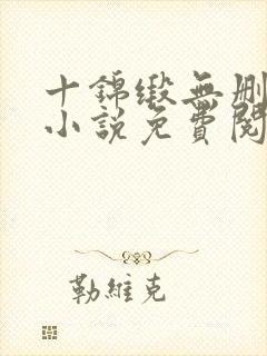 十锦缎无删原著小说免费阅读