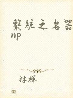 系统之名器攻略np