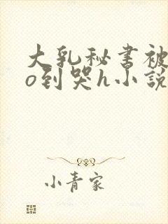 大乳秘书被cao到哭h小说