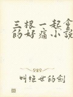 三根一起会坏掉的好痛小说