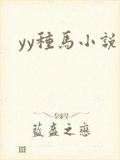 yy种马小说封面