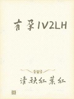 有孕1V2LH