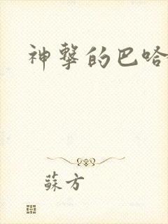 神击的巴哈姆特