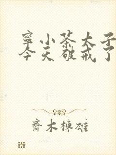 宁小茶太子殿下今天破戒了吗免费阅读