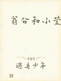 翁公和小莹封面