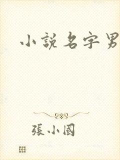 小说名字男生