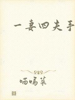 一妻四夫手记