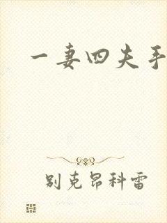 一妻四夫手记