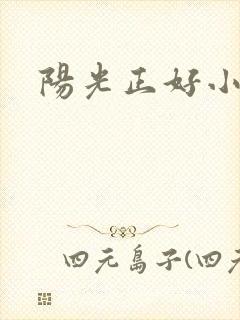 阳光正好小说