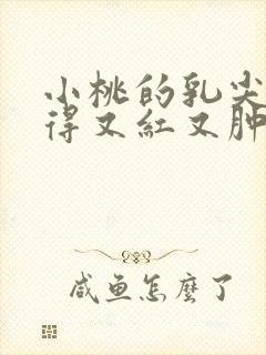 小桃的乳尖被吸得又红又肿