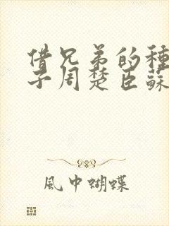 借兄弟的种生孩子周楚臣苏糖