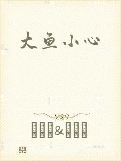 大鱼小心封面