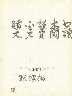 赌小说木口银全文免费阅读笔趣阁