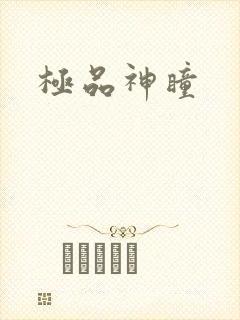极品神瞳