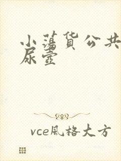 小荡货公共精厕尿壶