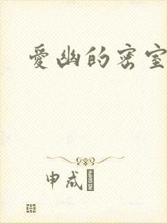 爱幽的密室小说