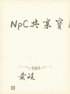 NpC共享宝贝