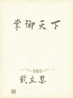 掌御天下封面