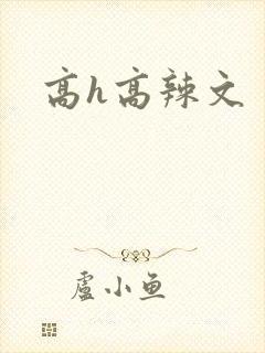 高h高辣文